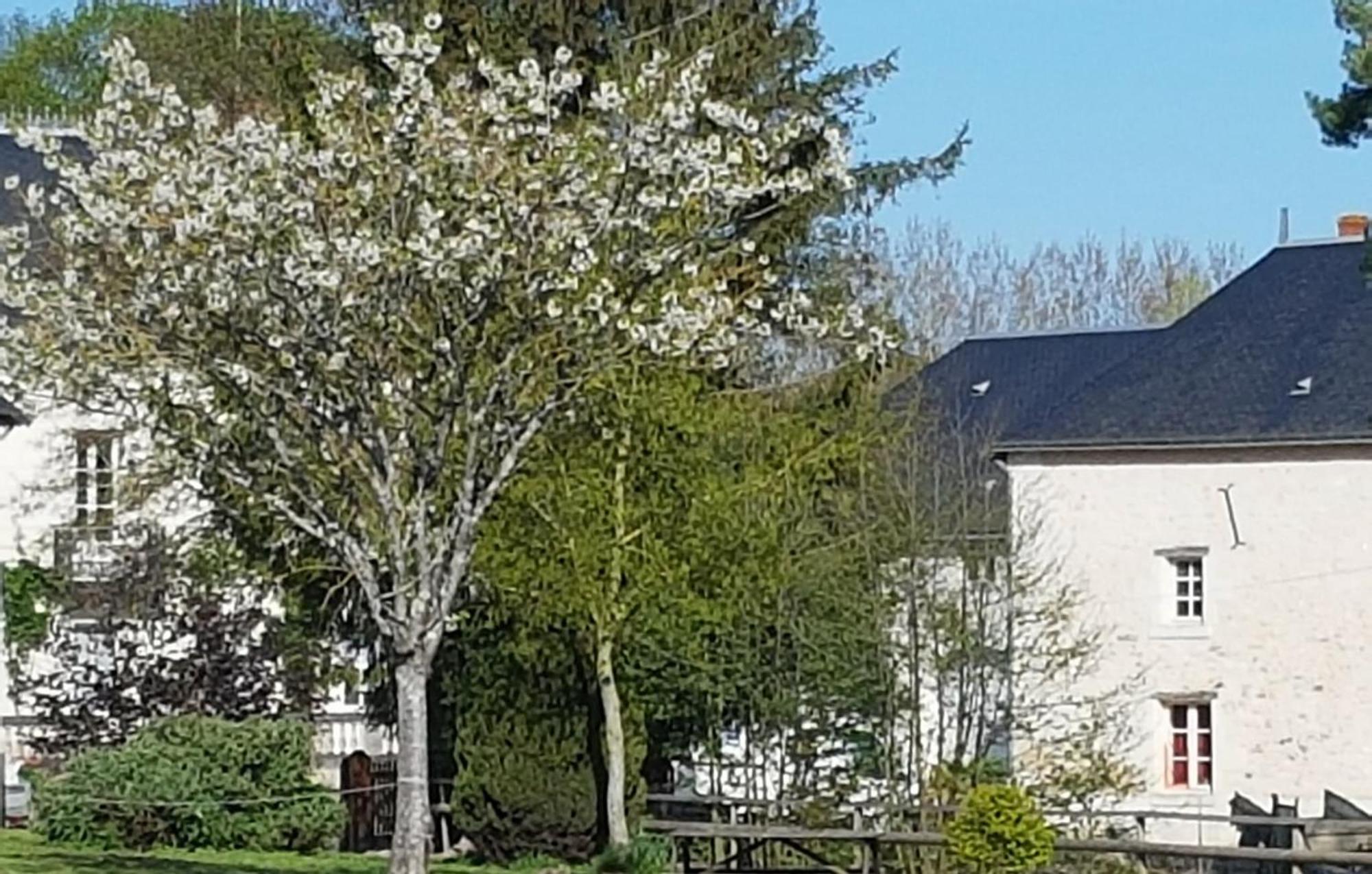 Domaine Du Moulin Neuf Aux Portes De Beauval Nouans-les-Fontaines Exteriér fotografie